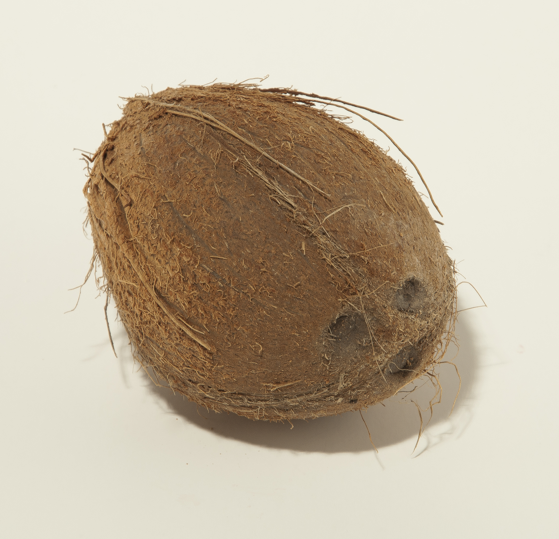 Kokosnöt