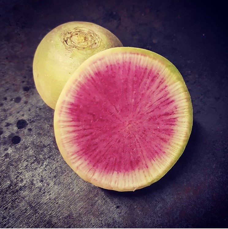 Melonrädisa