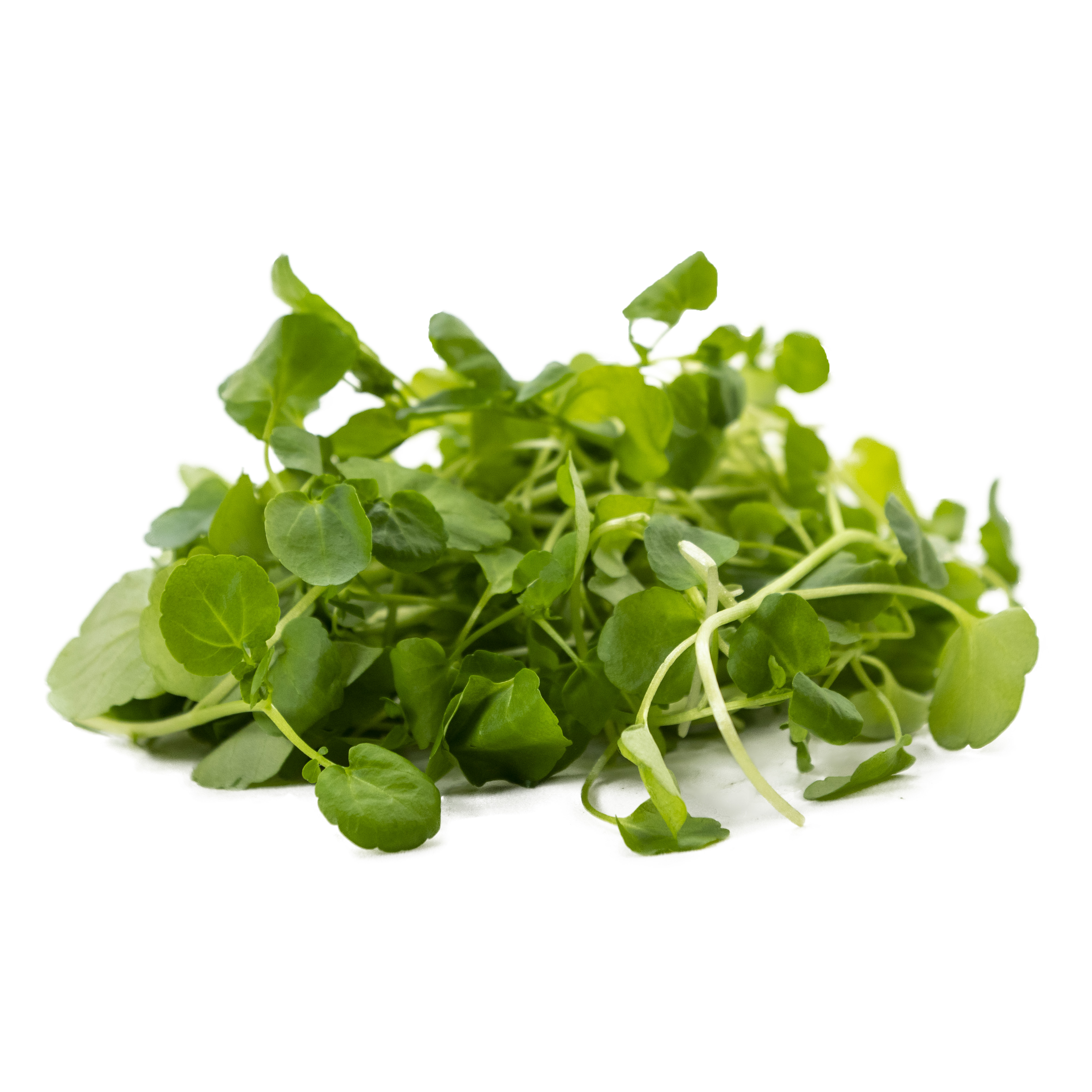 Vattenkrasse 150g