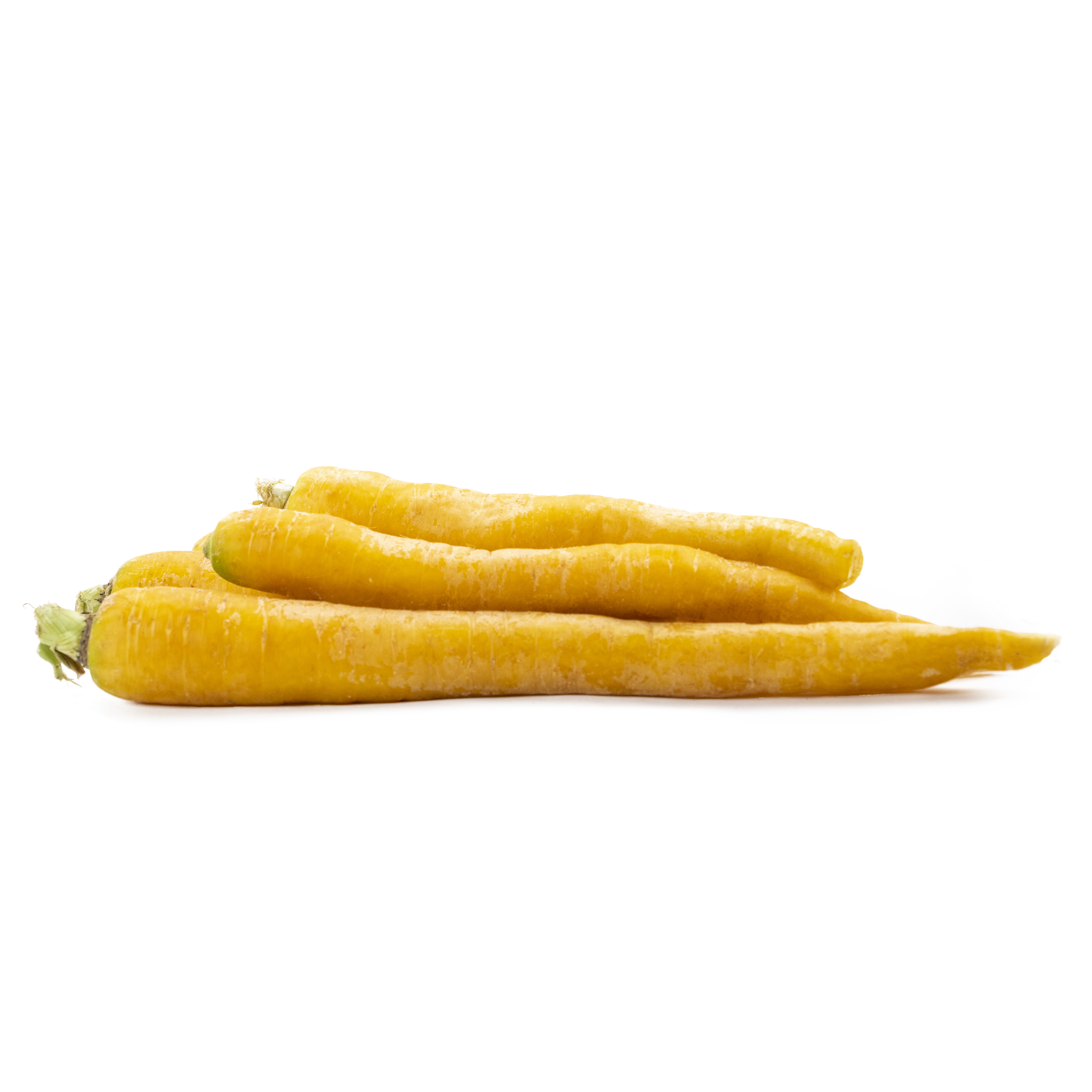 Morot Gul Klass 1 Sverige