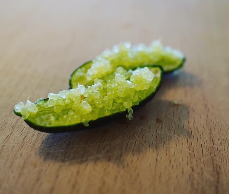 Fingerlime i Glasburk