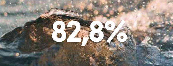 828.jpg