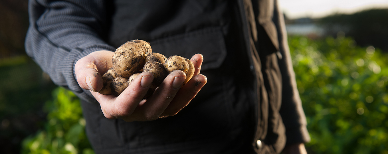 Sustainability - more than just organic food